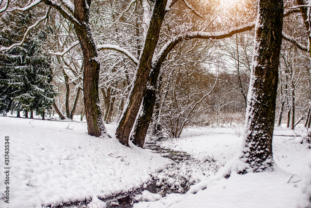 Landscape with views of the stream in the winter forest Landscape with views of the stream in the winter forest