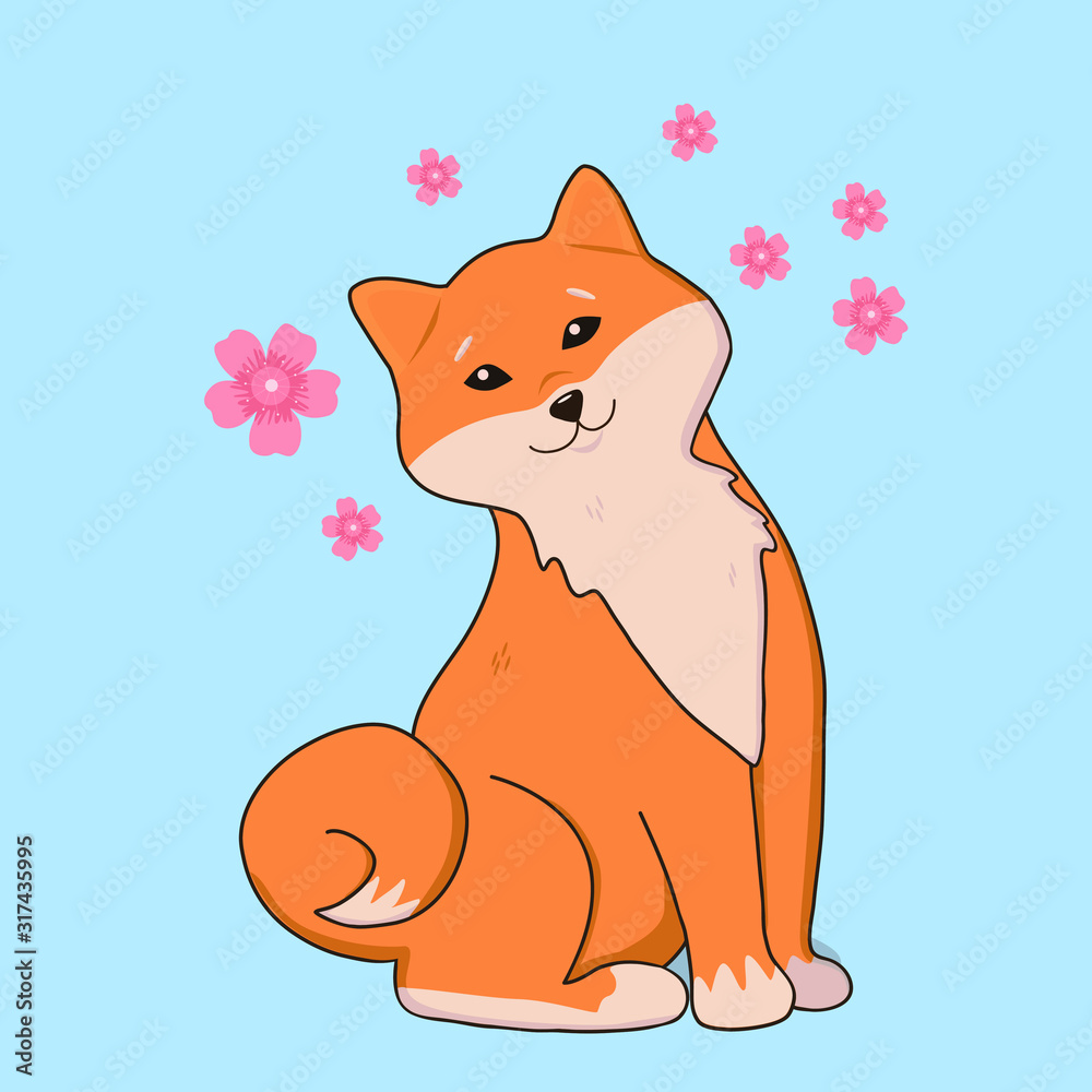 Cute shiba inu with cherry blossom, sakura flowers Cute shiba inu with cherry blossom, sakura flowers
