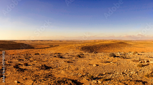 desert in bright sunlight