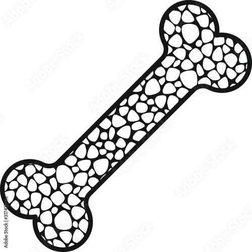 Osteoporosis icon ,Bone structure, vector illustration