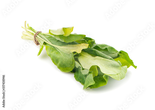 Chinese kale vegetable an isolated on white background