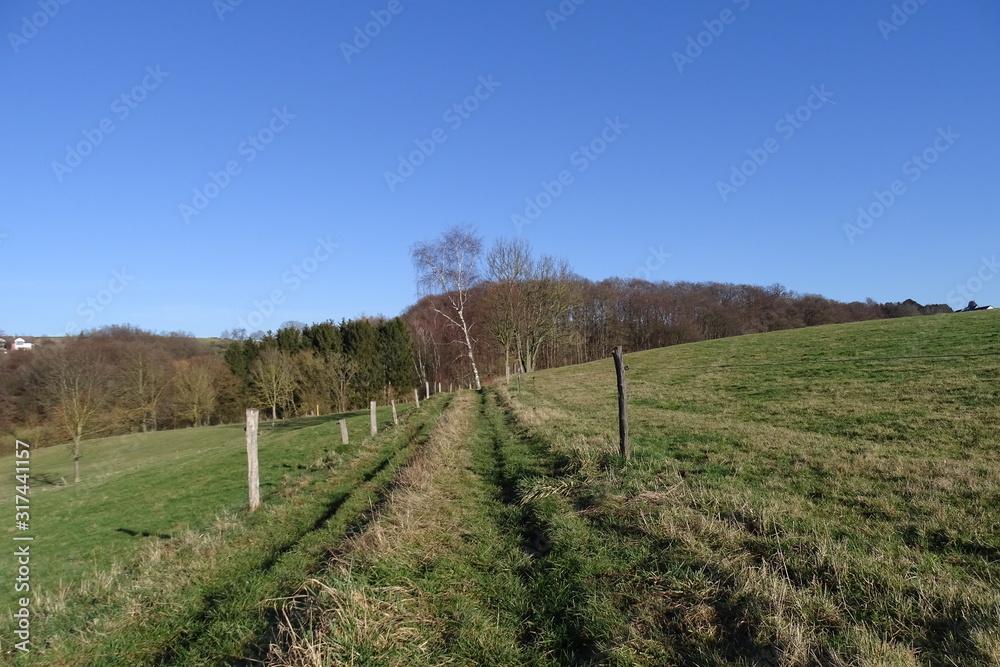 Feldweg im Winter