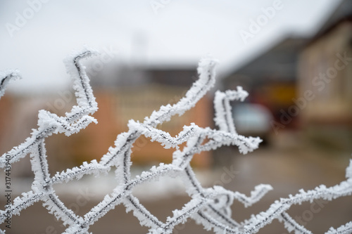 Fence covered with hoarfrost on a frosty winter day