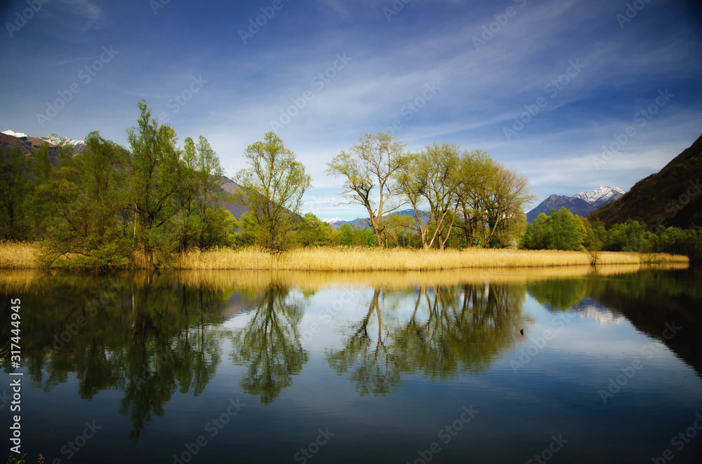 Trees Reflection on the Water with Mountain in Ticino, Switzerland.