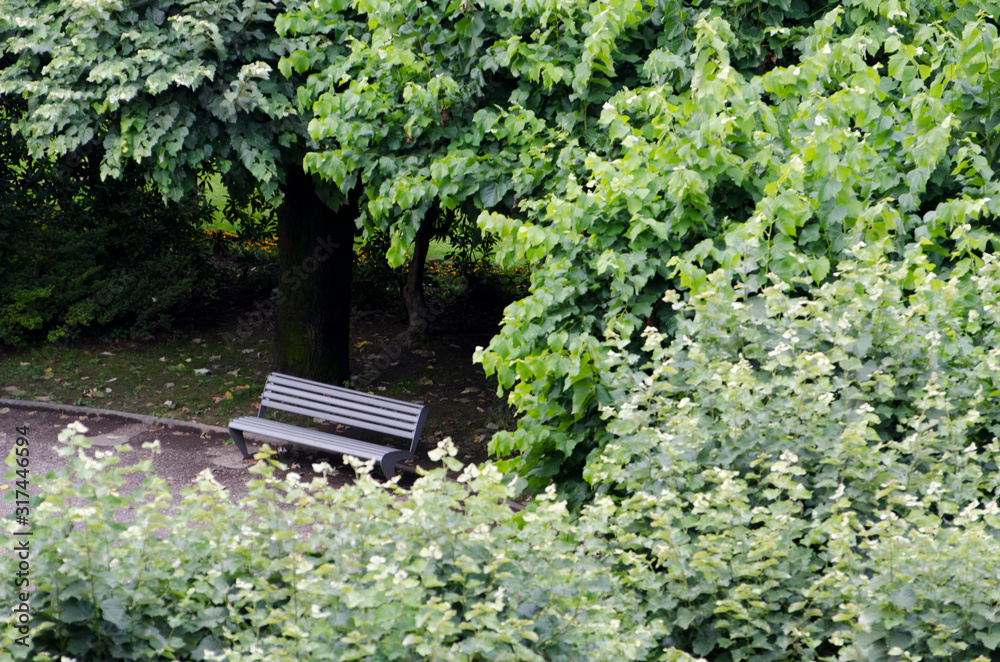 Bench in a Garden Park.