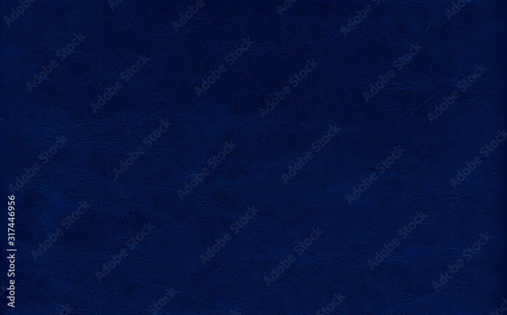 leather toned in trendy Classic Blue color of the Year 2020