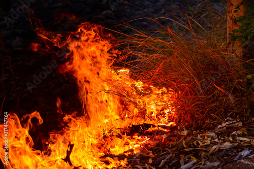 Burning pasture and rice straw in the dry season is one of the causes of greenhouse gases and global warming.