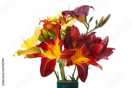 Bouquet of bright multi-colored daylilies isolated on a white background.