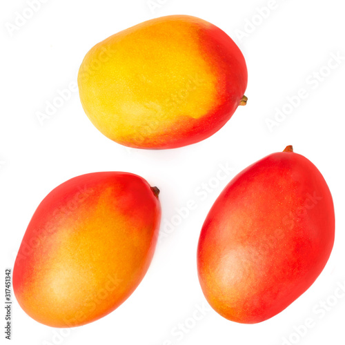 Creative layout made of whole mango fruit. Tropical abstract background. Isolated mango. Flat lay. Food concept. Macro.