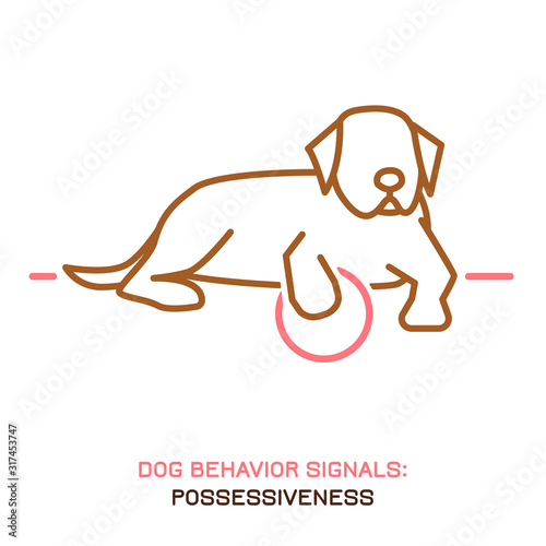 Dog Behavior Icon