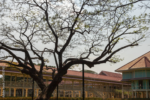 The garden at Maruekhathaiyawan Palace near Hua Hin beach. 2015 February Thailand Hua Hin.  photo