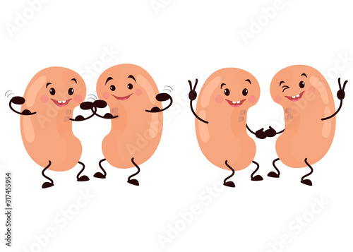 Cartoon character of a kidney