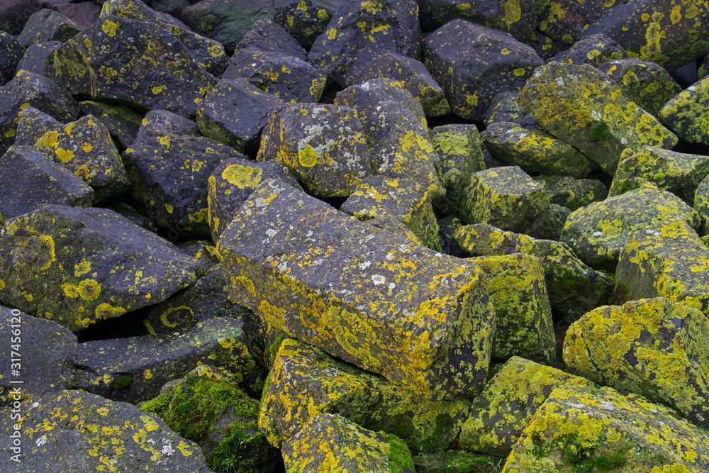 Black basalt blocks grown with lichens in a dike 