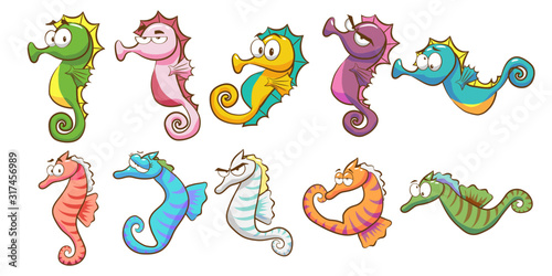seahorse vector set collection graphic clipart design