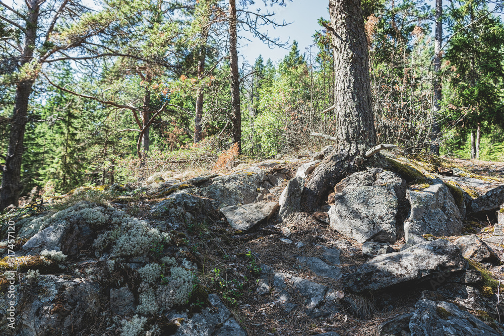 Ladoga lake- visit the national Park Ladoga lake- visit the national Park