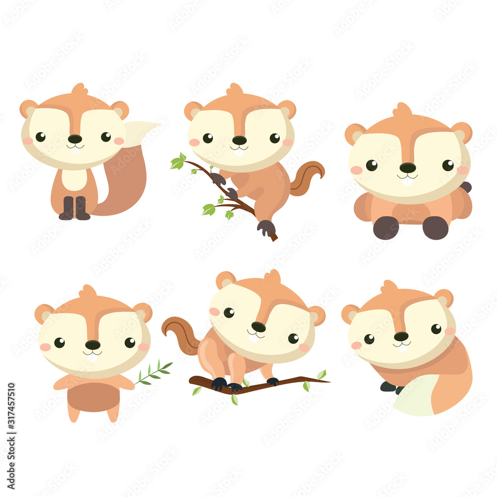 Little cute squirrel in different poses.. Little cute squirrel in different poses..