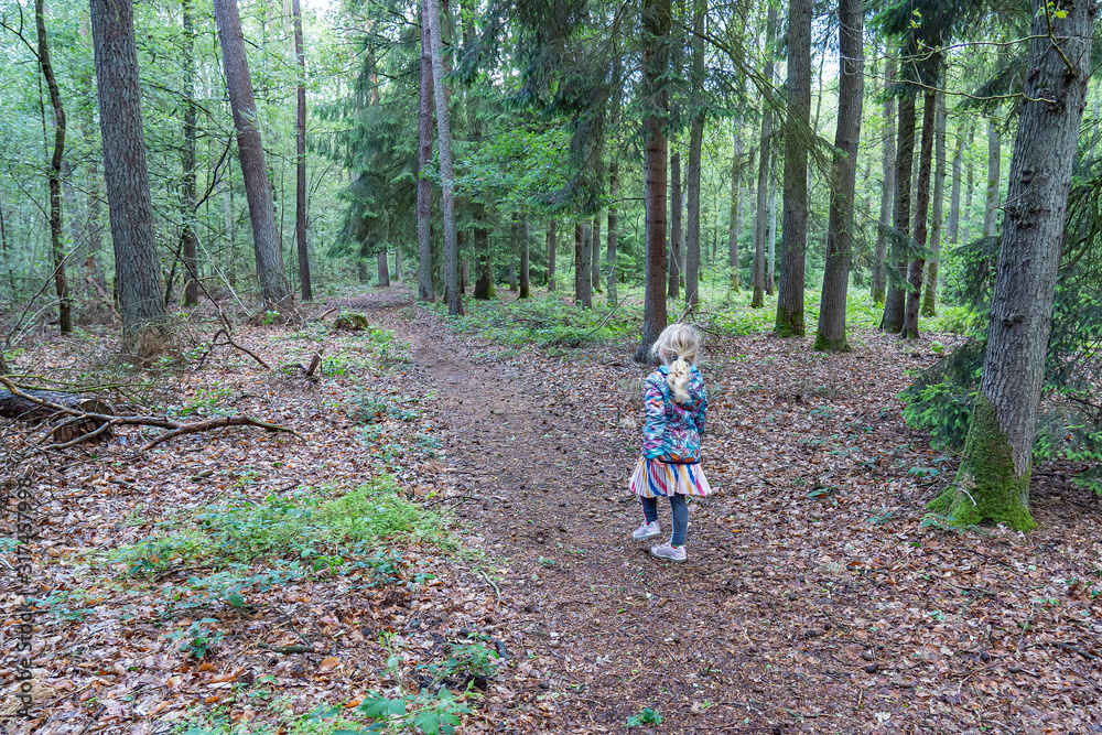 Young girl walking through the forest, Exloo, Netherlands