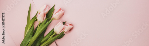 Cuadro en lienzo Top view of tulip bouquet on pink background, panoramic shot