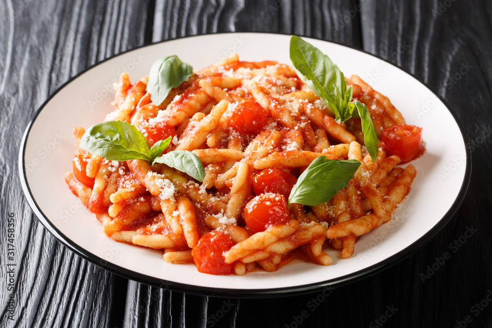 Italian traditional food trofie cooked with tomato sauce, parmesan and basil close-up in a plate. horizontal Italian traditional food trofie cooked with tomato sauce, parmesan and basil close-up in a plate. horizontal