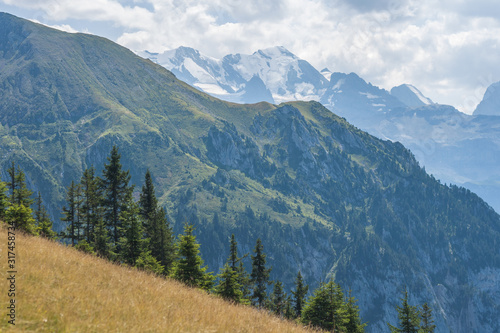 Beautiful swiss alps mountains. Alpine meadows.   © ALENA