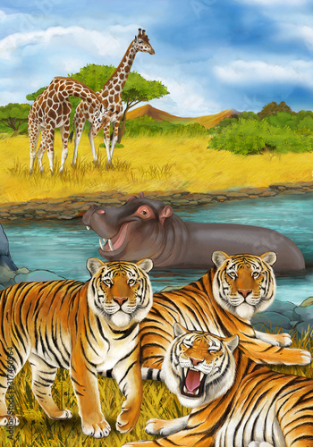 cartoon scene with hippopotamus hippo swimming in river near the meadow and giraffes resting illustration for children