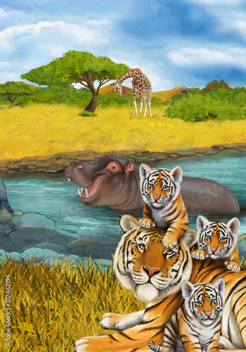 cartoon scene with hippopotamus hippo swimming in river near the meadow and giraffes resting illustration for children