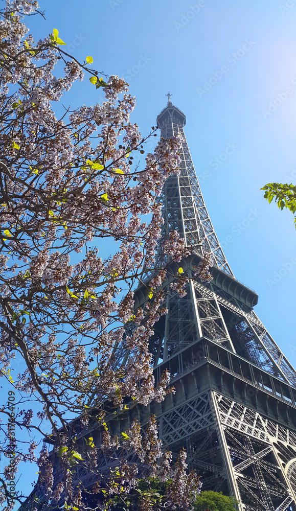 Eiffel Tower on blue sky background with beautiful blooming trees