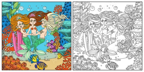 Three beautiful mermaid girls swirl in dance surrounded by fish on underwater world with corals and anemones background color and outlined
