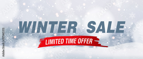 Winter sale banner, vector illustration