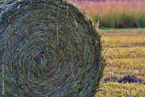 Valokuvatapetti hay bale of straw in the field