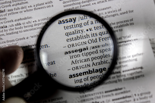 The word or phrase assegai in a dictionary.