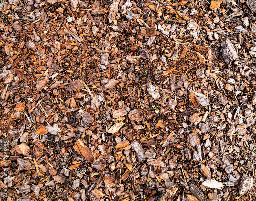 Tree Pine bark pieces top view. Interesting wooden texture or wood background with mulching garden beds Tree Pine bark pieces top view. Interesting wooden texture or wood background with mulching garden beds