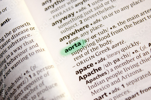 Aorta word or phrase in a dictionary.