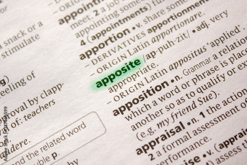 Fototapeta premium Apposite word or phrase in a dictionary.