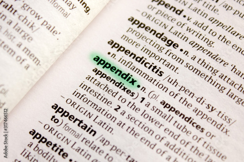 Appendix word or phrase in a dictionary.
