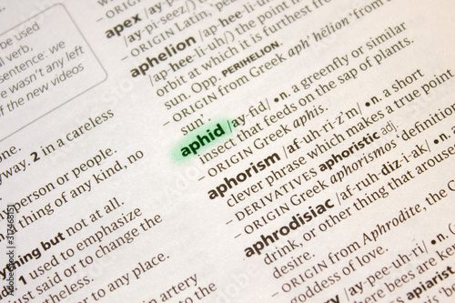 Aphid word or phrase in a dictionary.