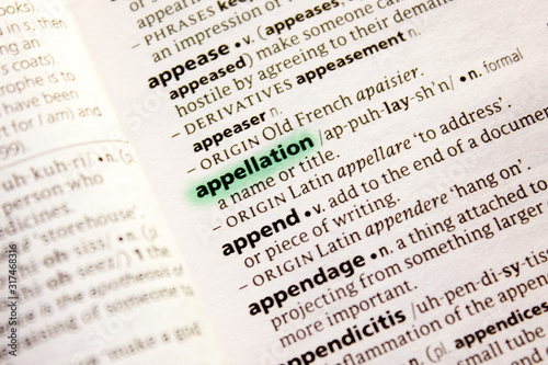 Appellation word or phrase in a dictionary.
