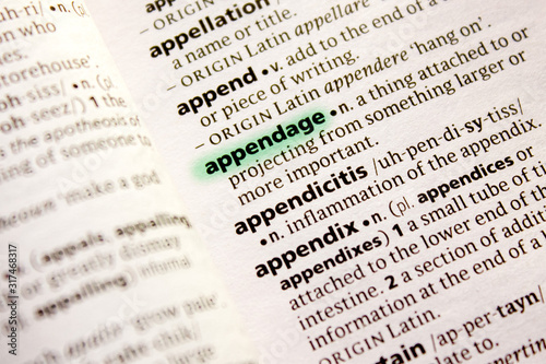 Appendage word or phrase in a dictionary.