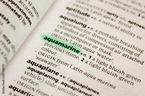 Aquamarine word or phrase in a dictionary.