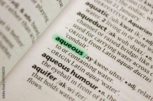 Aqueous word or phrase in a dictionary.