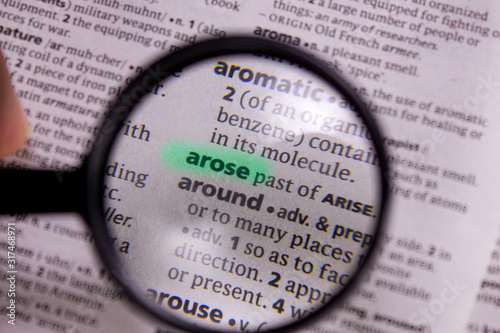 Arose word or phrase in a dictionary.