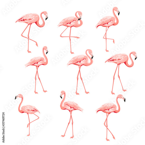 Set of flamingo birds elements. Collection of flamingos on a white background. Tropical birds collection. Pink flamingos set for summer print bundle. Vector illustration bundle.