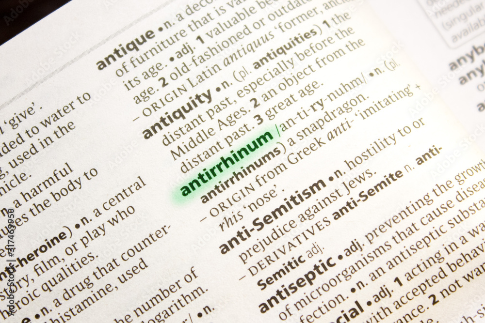 Antirrhinum word or phrase in a dictionary. Antirrhinum word or phrase in a dictionary.