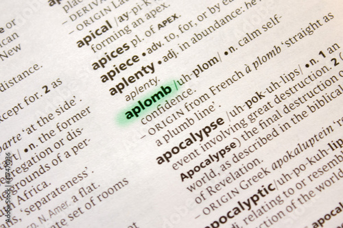 Aplomb word or phrase in a dictionary.
