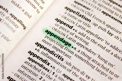 Принти на полотні Appendage word or phrase in a dictionary.