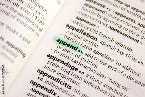 Append word or phrase in a dictionary.
