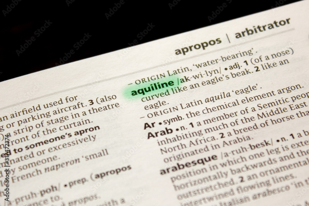 Aquiline word or phrase in a dictionary. Aquiline word or phrase in a dictionary.