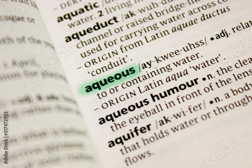 Aqueous word or phrase in a dictionary.