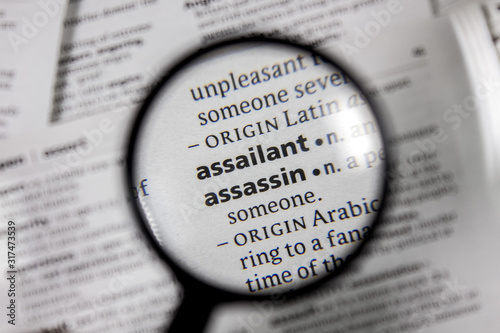 The word or phrase assailant in a dictionary.