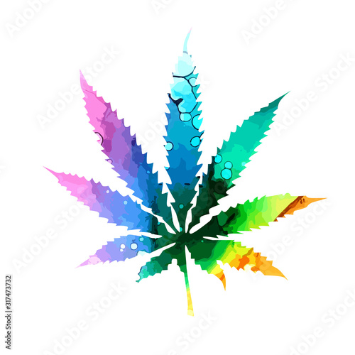 Cannabis or marijuana leaf multi-colored icon , Vector illustration